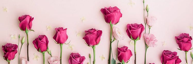 antozzl's profile banner image