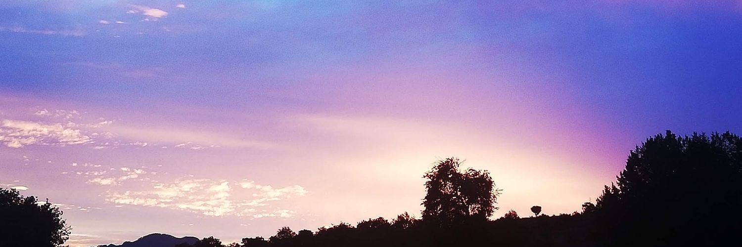 Altamarindo_K's profile banner image