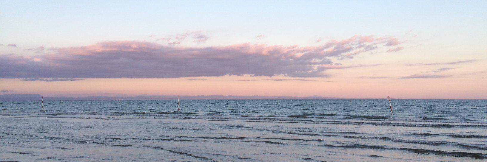 claudiaguzzon's profile banner image