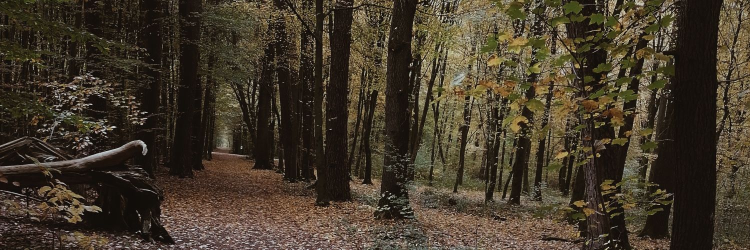 LauraMayStrange's profile banner image