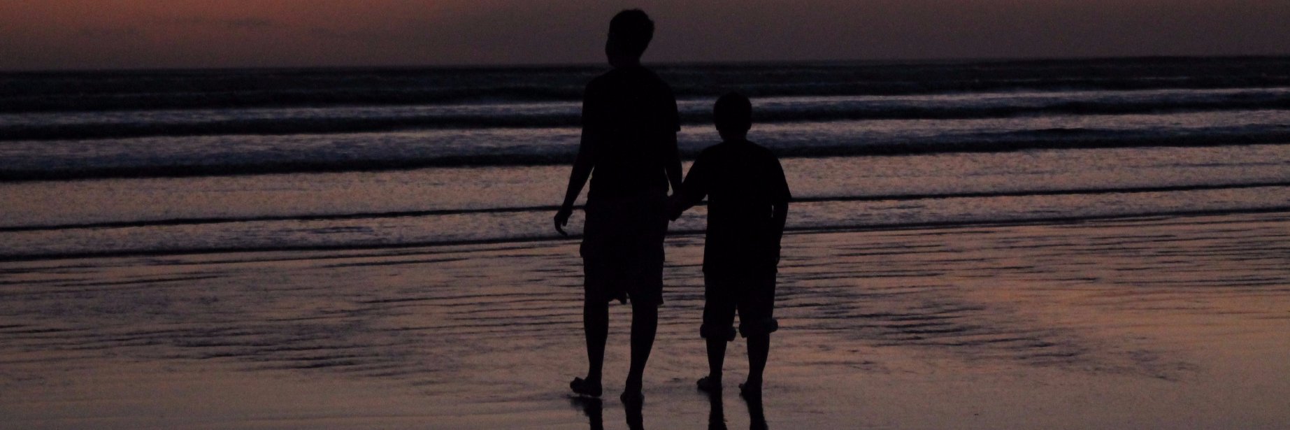 Sharon McCarry banner