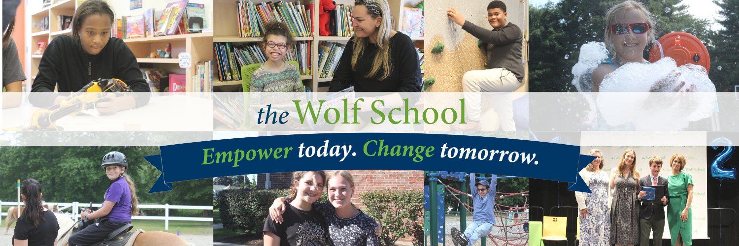 The Wolf School banner