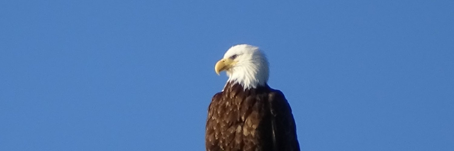 Midwest_Shafer's profile banner image