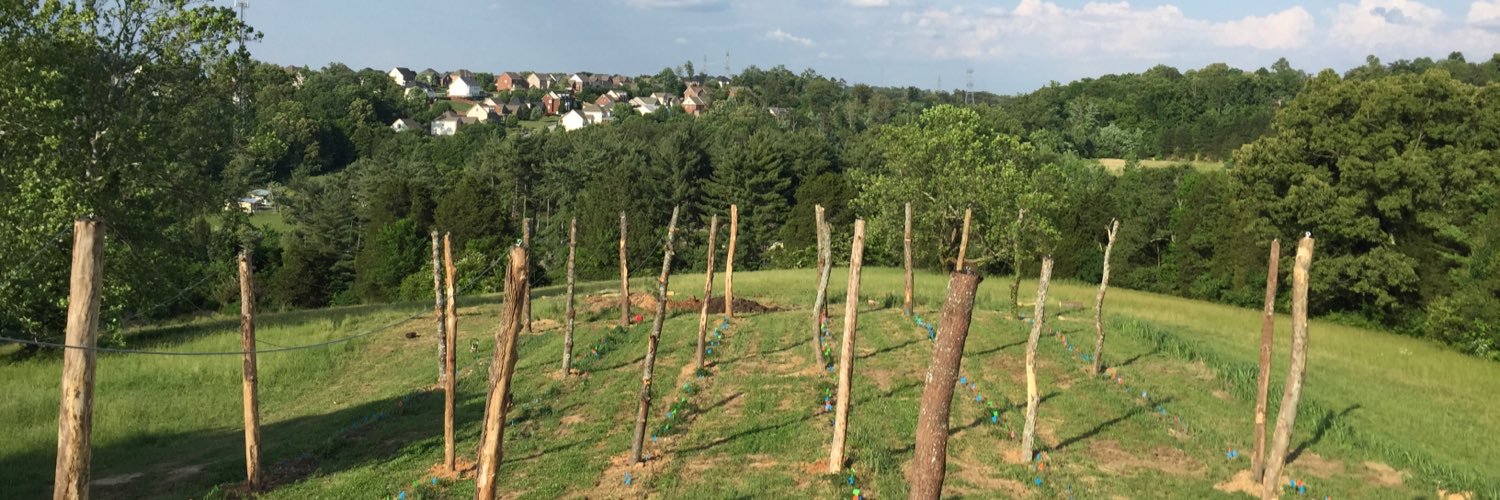 KnoxHops865's profile banner image