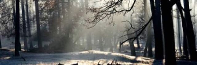 LucimarPenteado's profile banner image