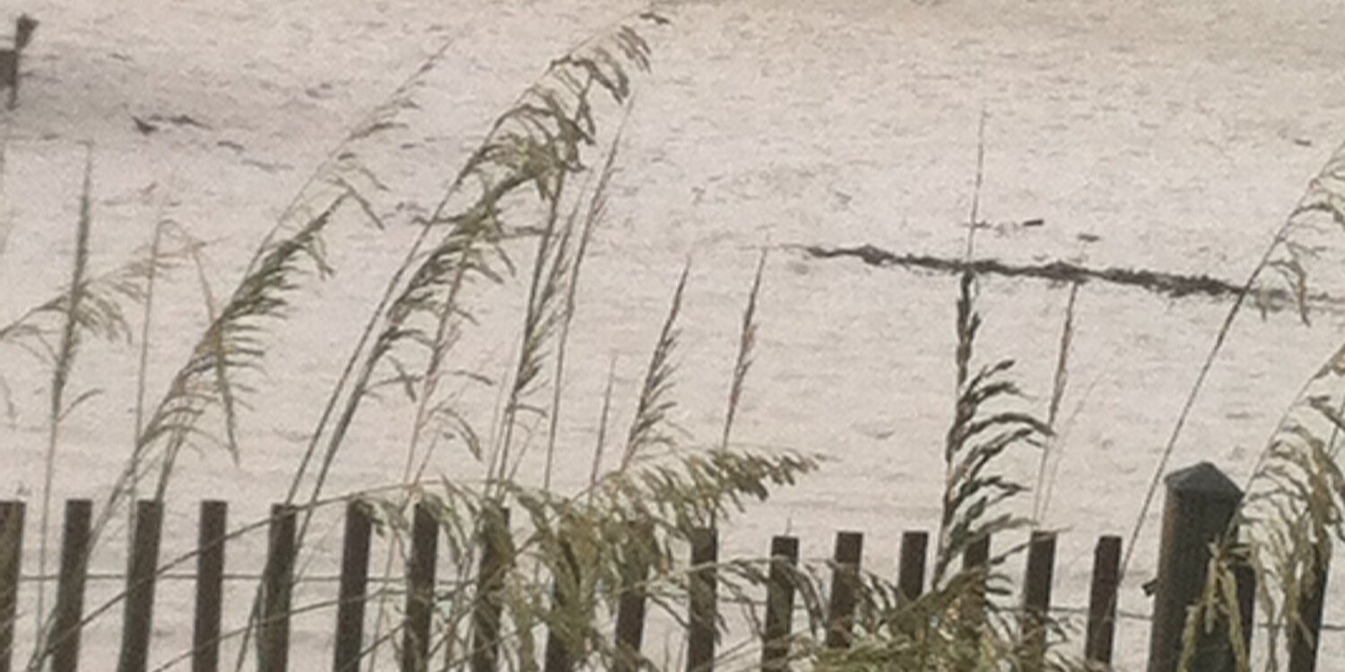 bdavisrn52's profile banner image