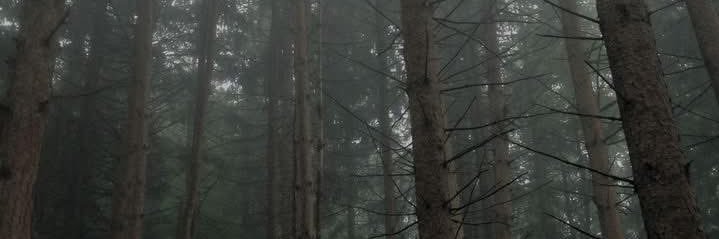 💗Eva of Rivia💗 banner