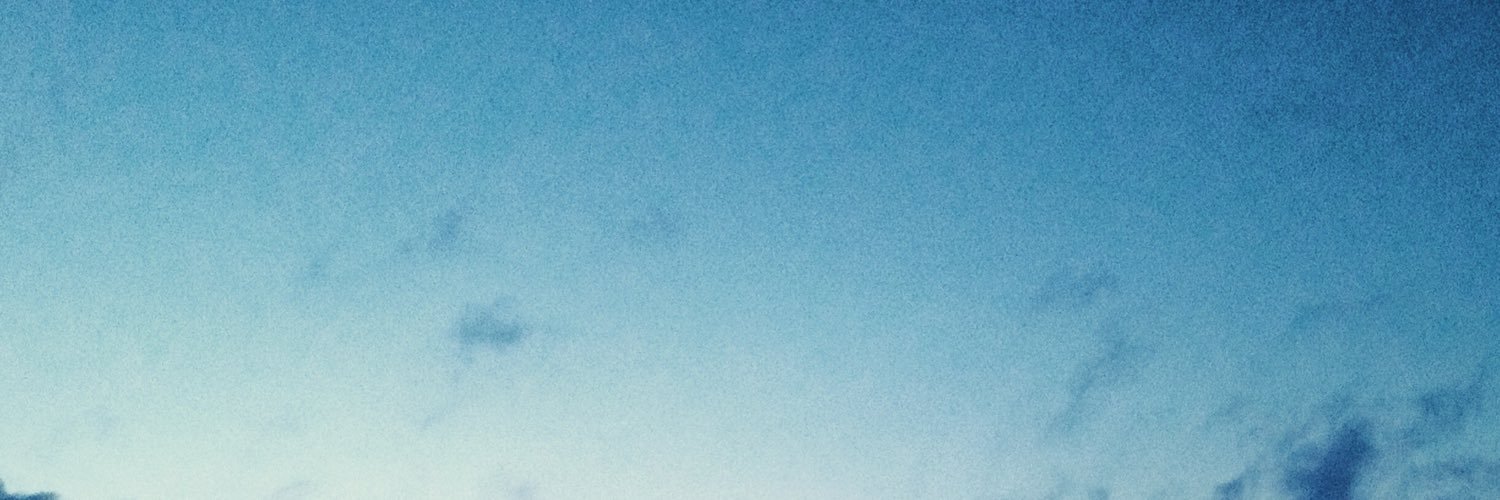 Alexandra Bauer banner