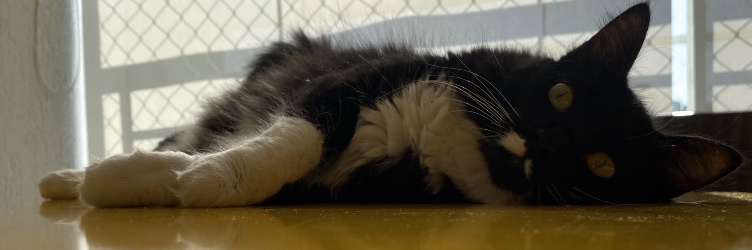 Phantom Writer 🚩🏳️‍🌈 | fairyenough.bsky.social banner