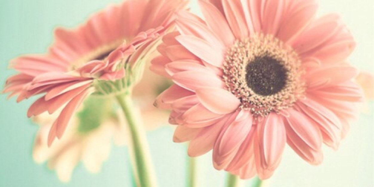 bar_evelyn's profile banner image