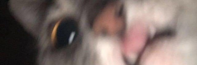 heavtry's profile banner image