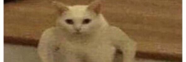 Gitbag the Great banner