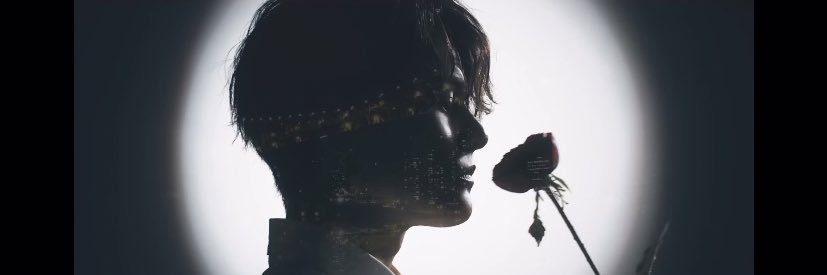 ld_613's profile banner image