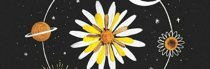 michellef0ley's profile banner image