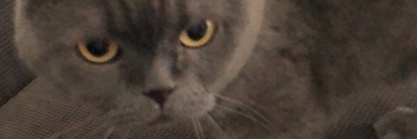 DiivaaRa's profile banner image