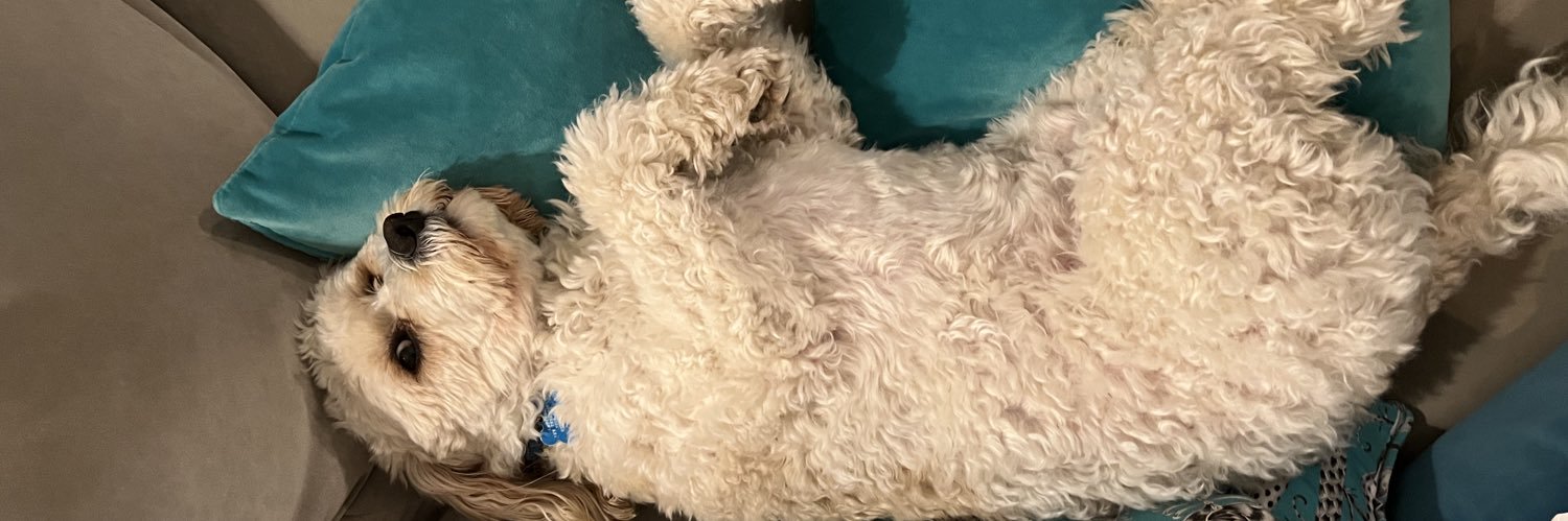 Kevin Anderson banner