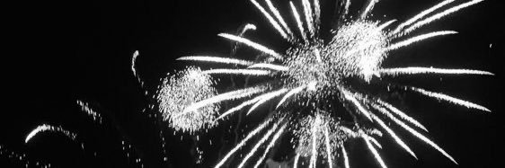 aylen (meowl) banner