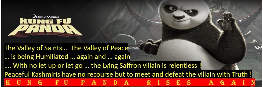 KungfuPanda313's profile banner image