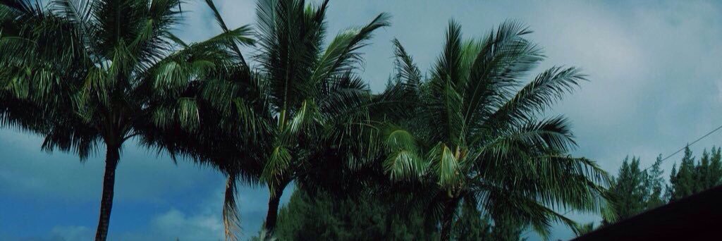 luckybsmithz's profile banner image