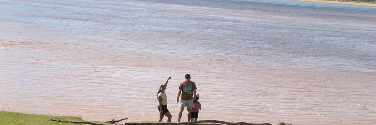 _magustin's profile banner image