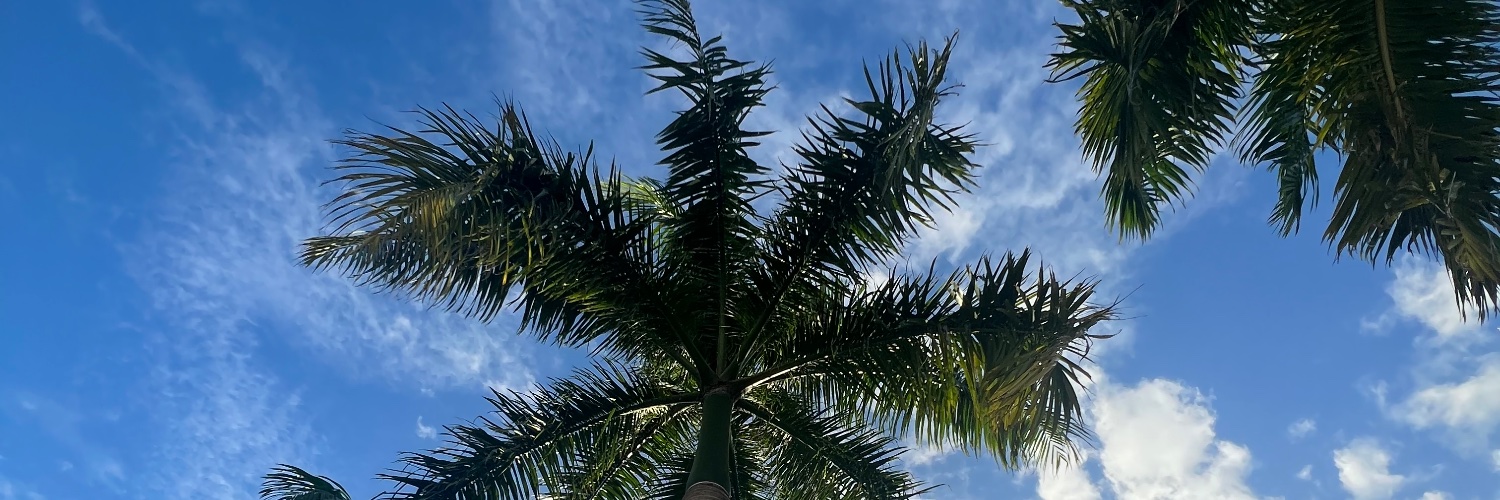 dreariveraa's profile banner image