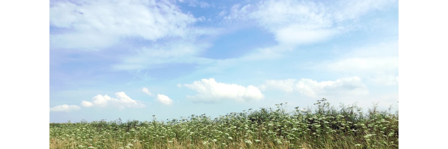 Emilia Ansell banner