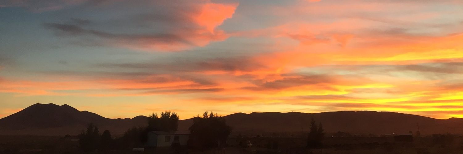 NevadaRetweet's profile banner image