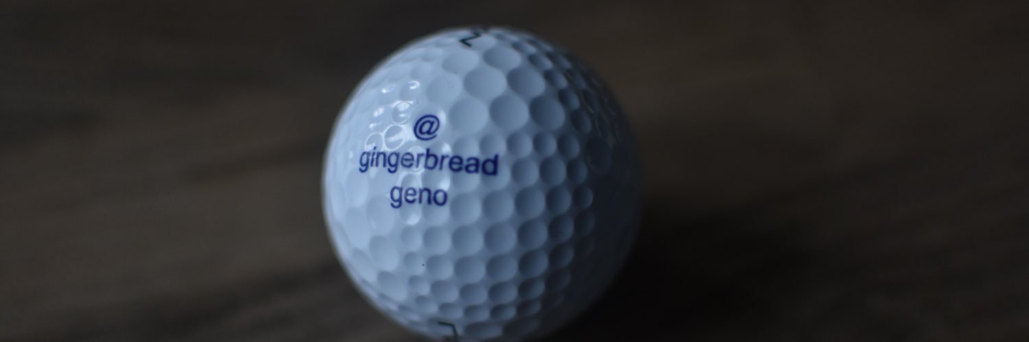 gingerbreadgeno's profile banner image
