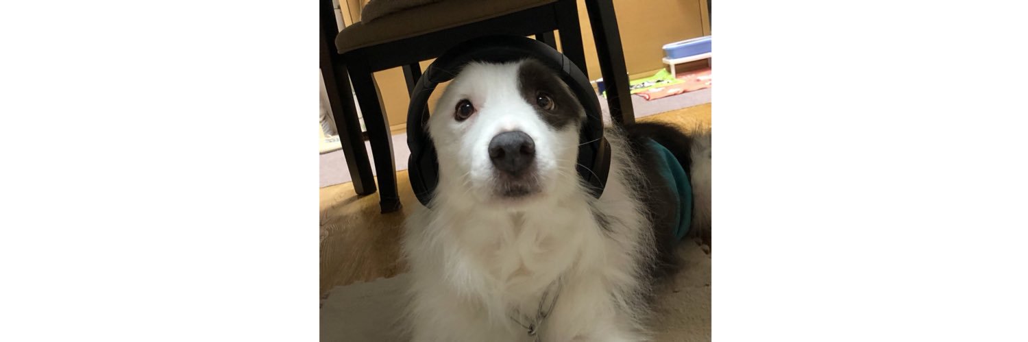 難波 尭弘 banner