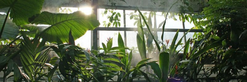 brown babe🤎 banner