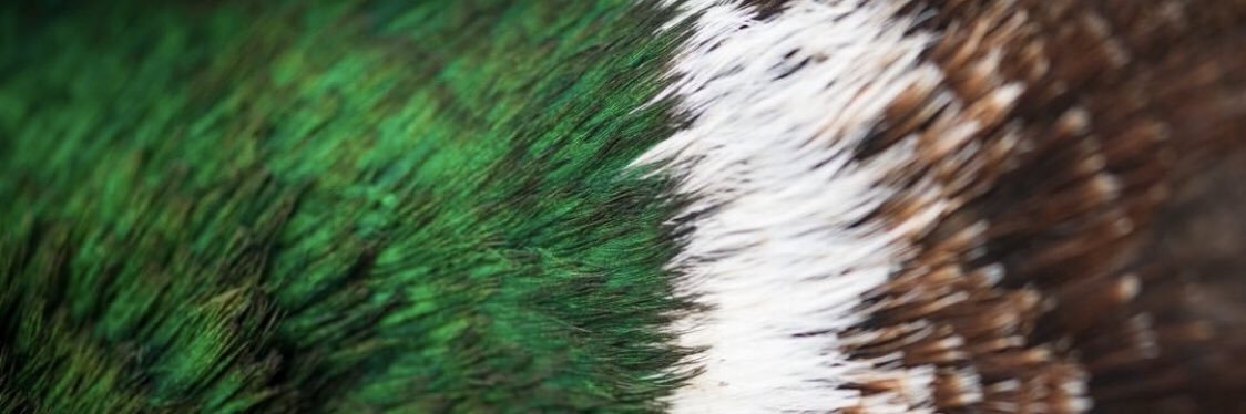 US_of_AJ's profile banner image