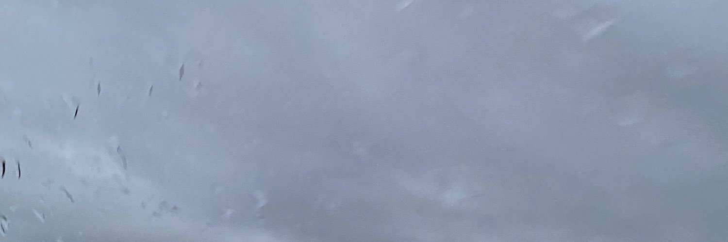 alsobowie's profile banner image