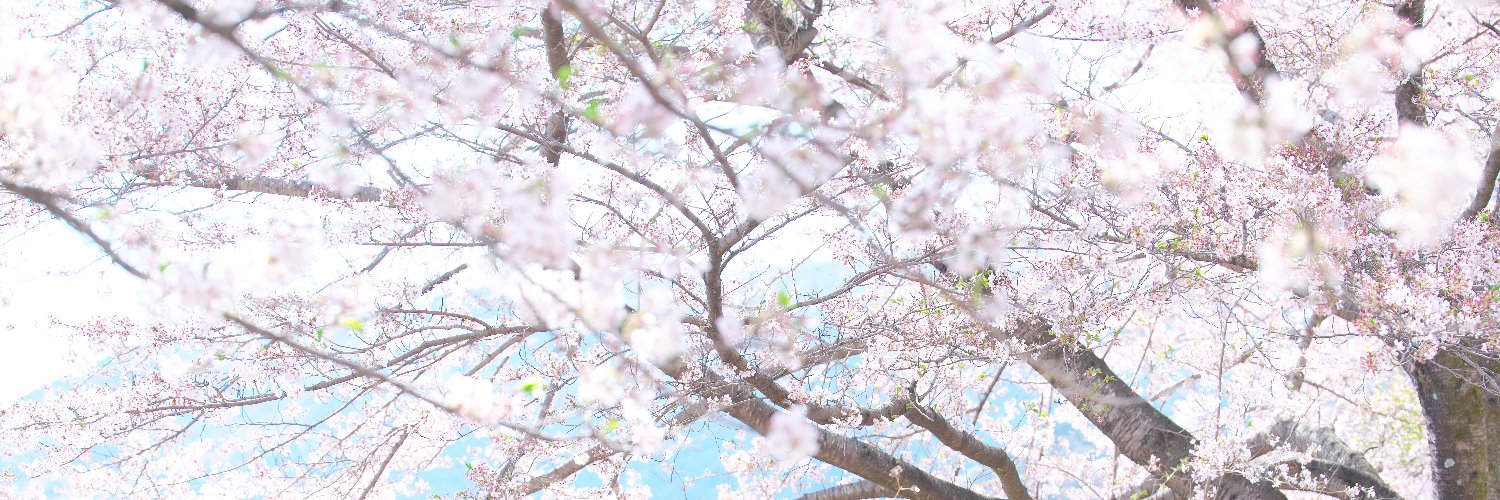 D2_0711's profile banner image