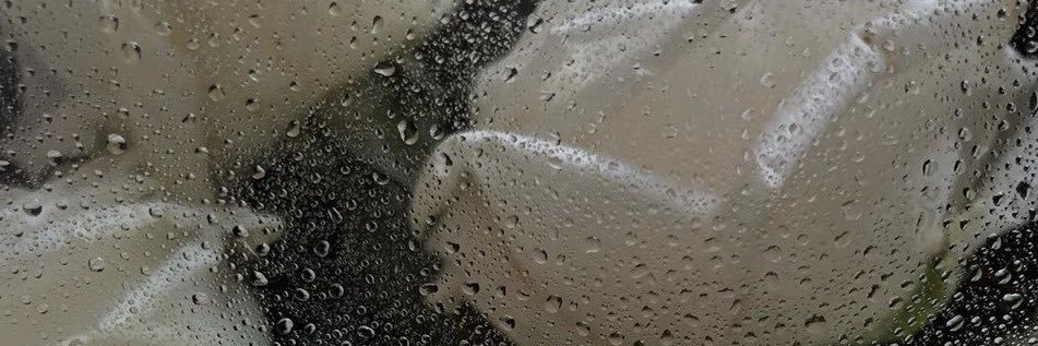 No0oly335's profile banner image
