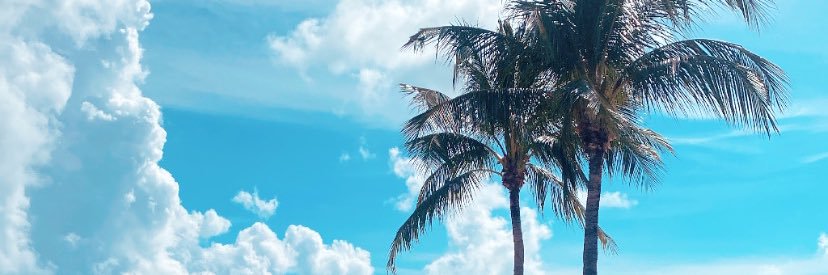_MLBurrell_'s profile banner image