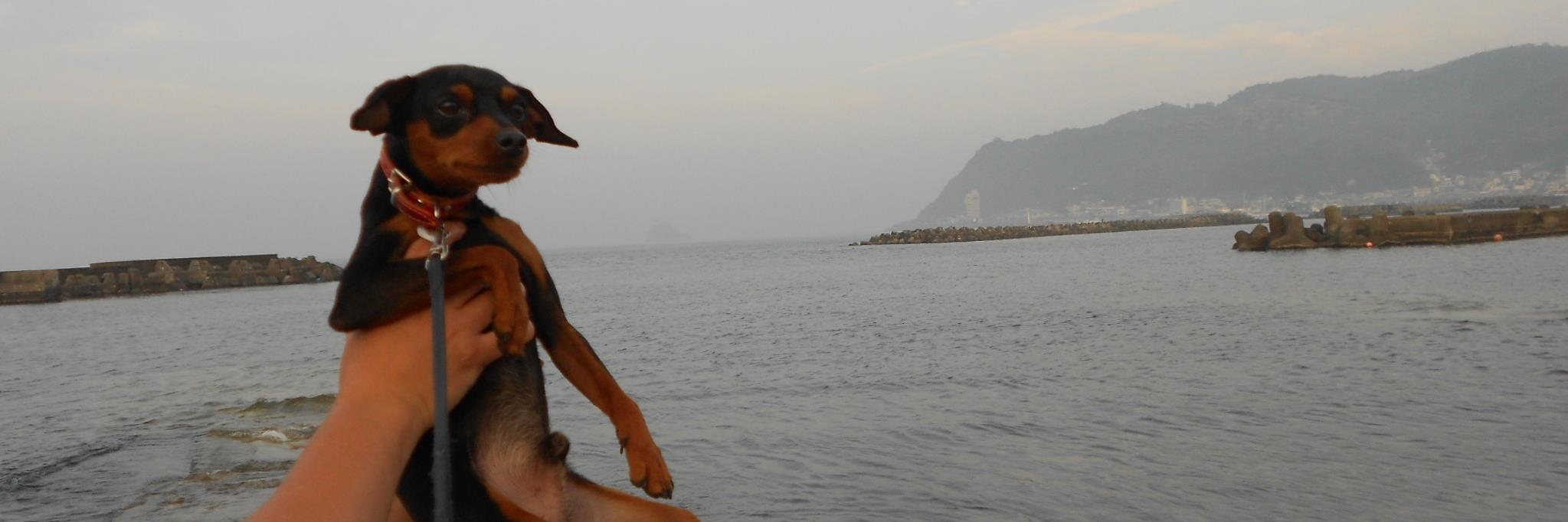 leotan0820's profile banner image