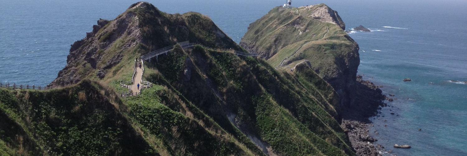 きゃべつたろう🥬＠清月 banner