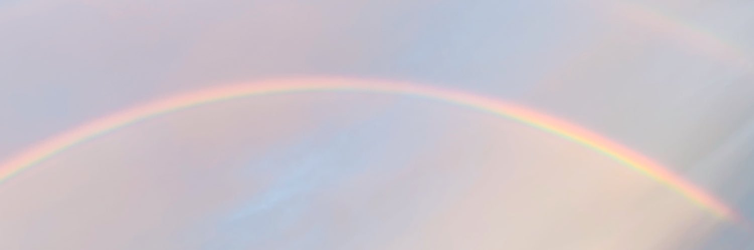 wildHONEYcat's profile banner image