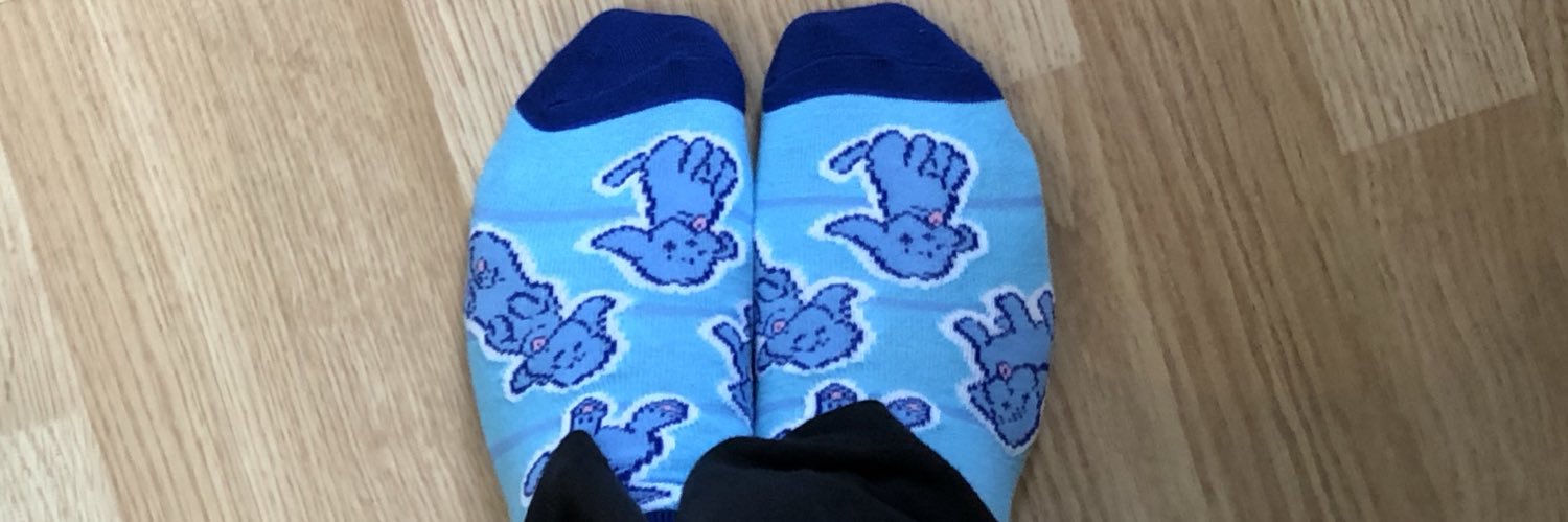 LibrarySocks's profile banner image