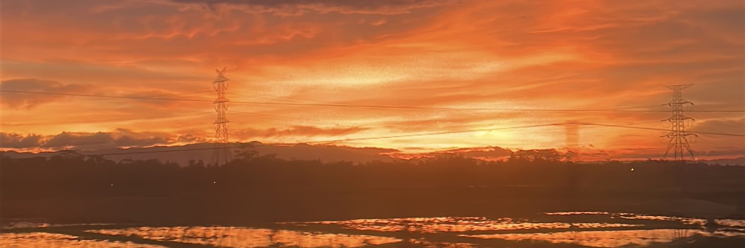 floranormal_'s profile banner image