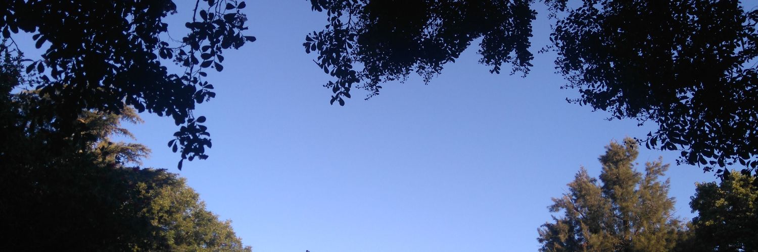 MariaChaparro2's profile banner image