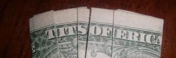 analogousturtle's profile banner image