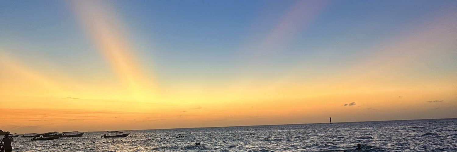BeaFernandez_'s profile banner image