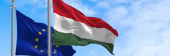 bern_petri's profile banner image