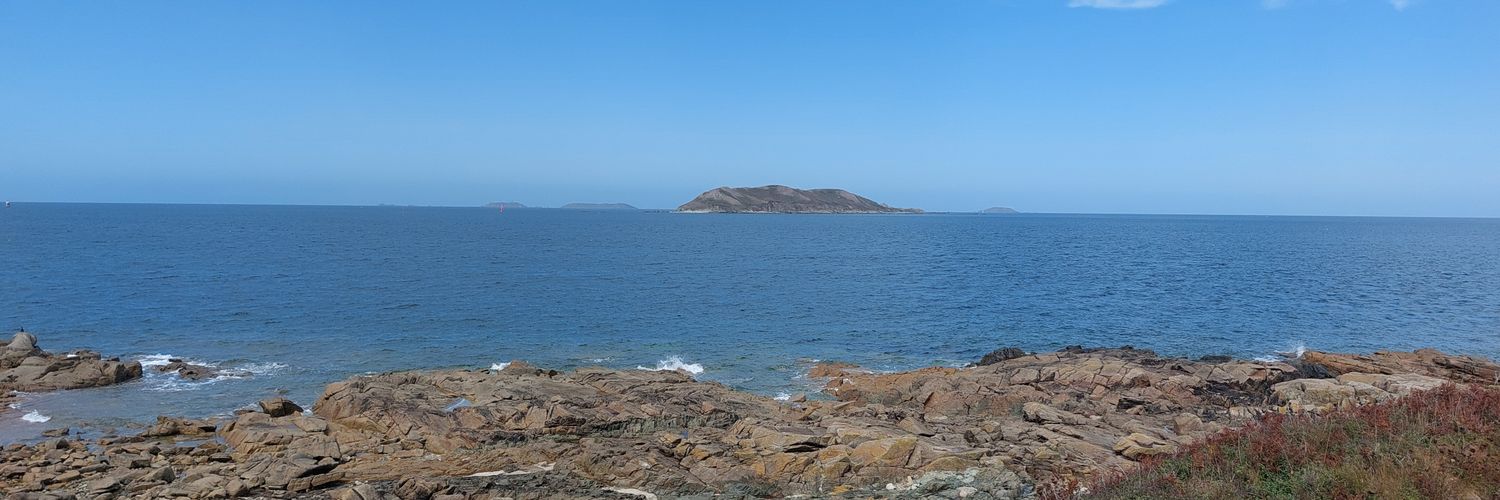 Violette Lévy banner