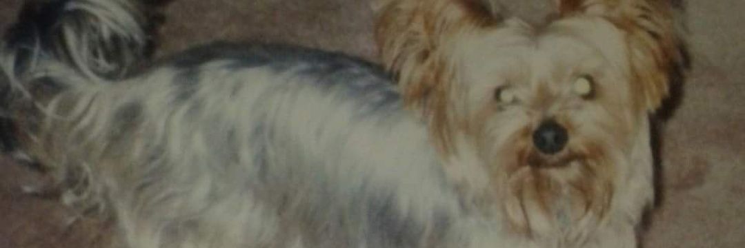 gemma1000's profile banner image