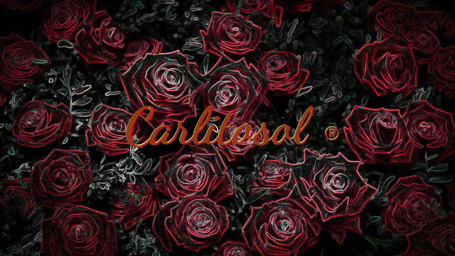 Carlitosol's profile banner image