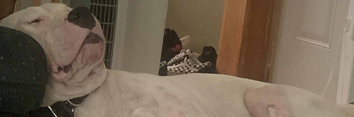 YourBoyDon's profile banner image