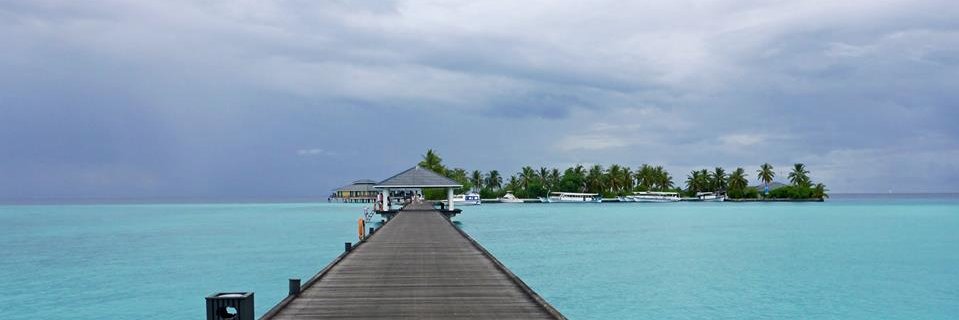 webtaipe's profile banner image