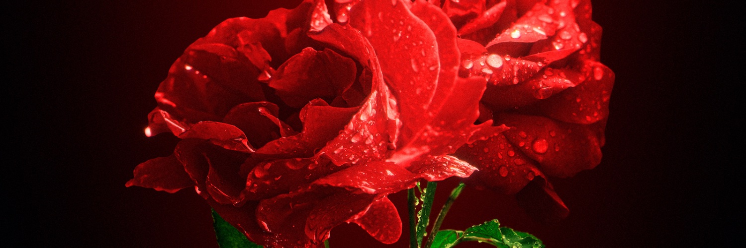 ToxicNuke's profile banner image
